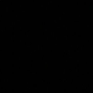 Meet your Posher, Jackson